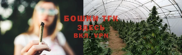 индика Белокуриха