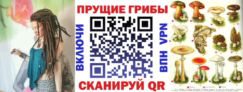 купить наркоту  Нефтегорск  ссылка на мегу вход  Псилоцибиновые грибы Cubensis 